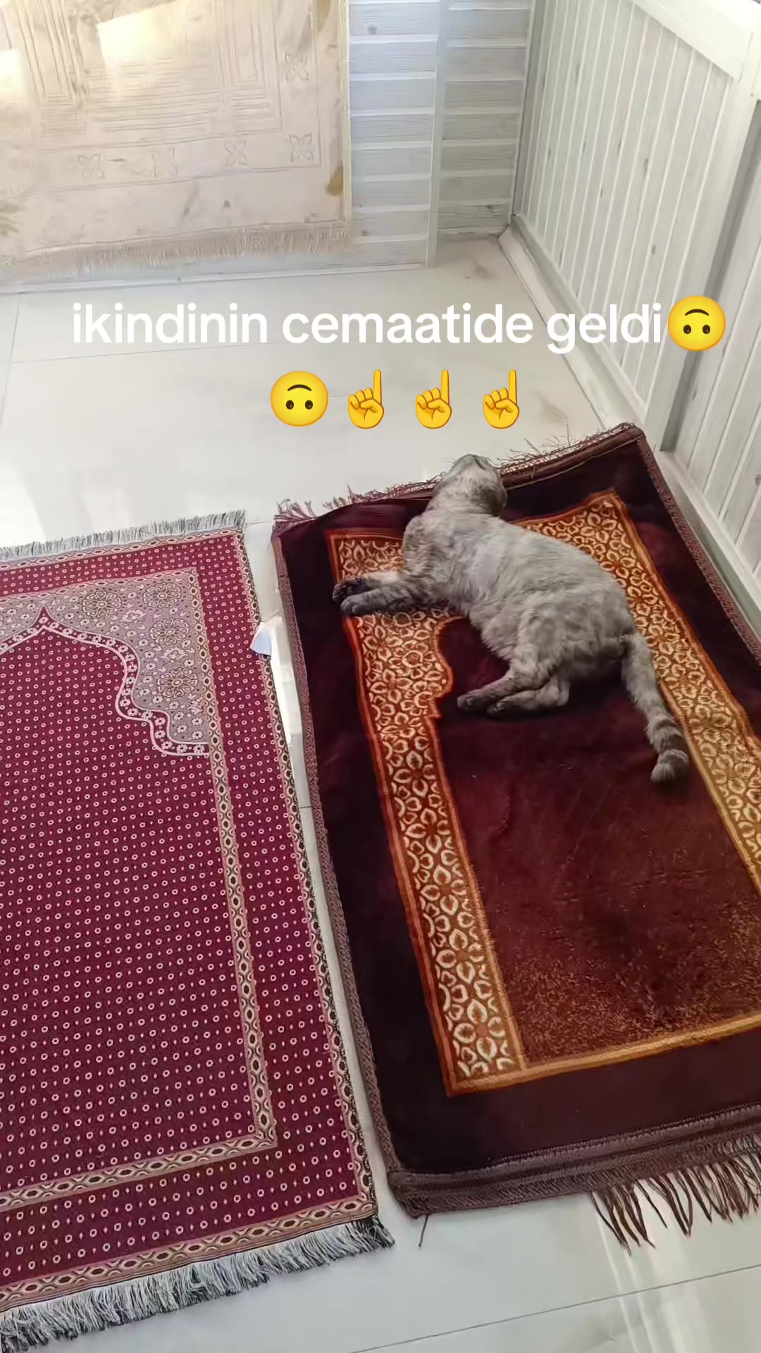 @Duran Karakaş