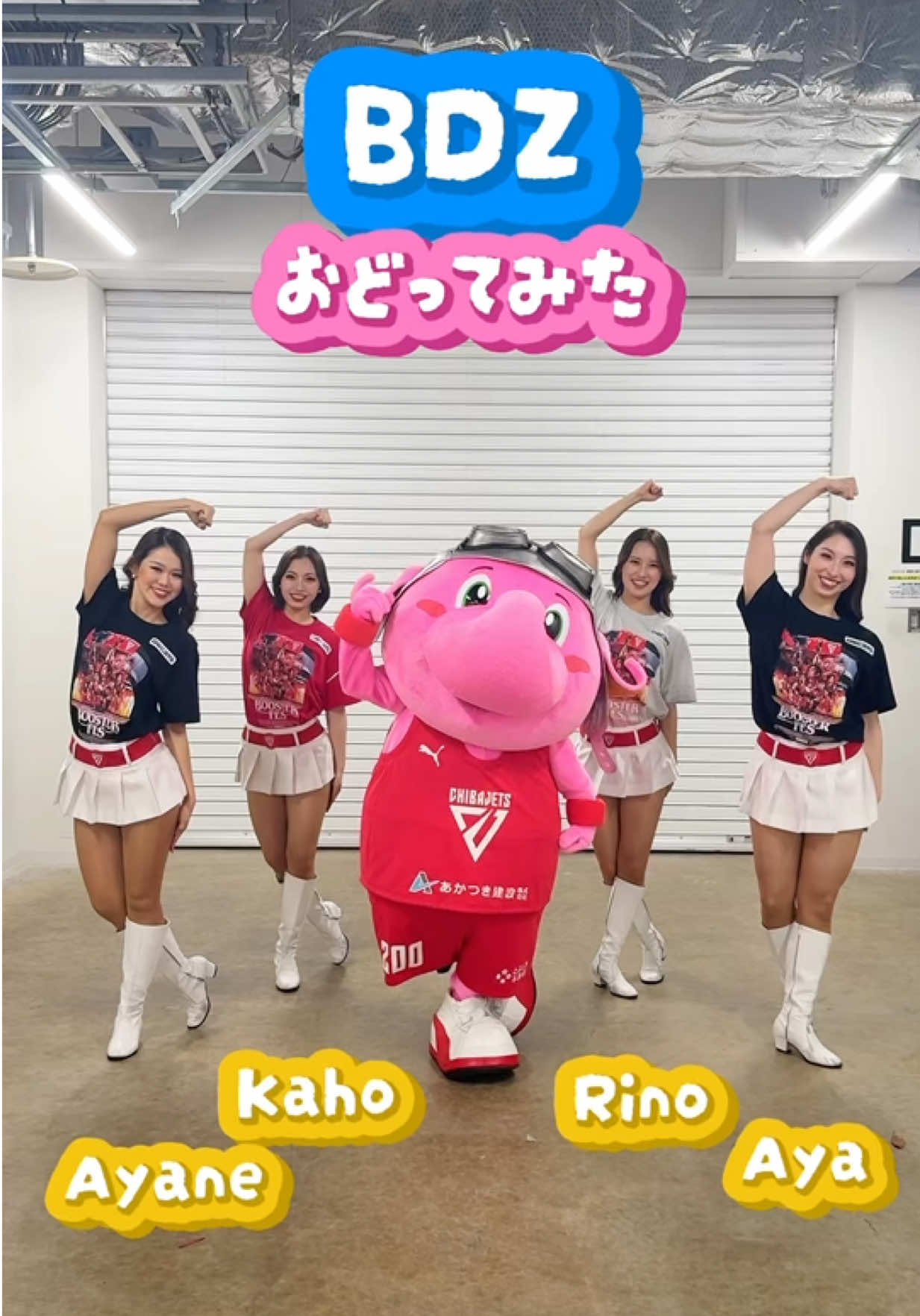 @千葉ジェッツ