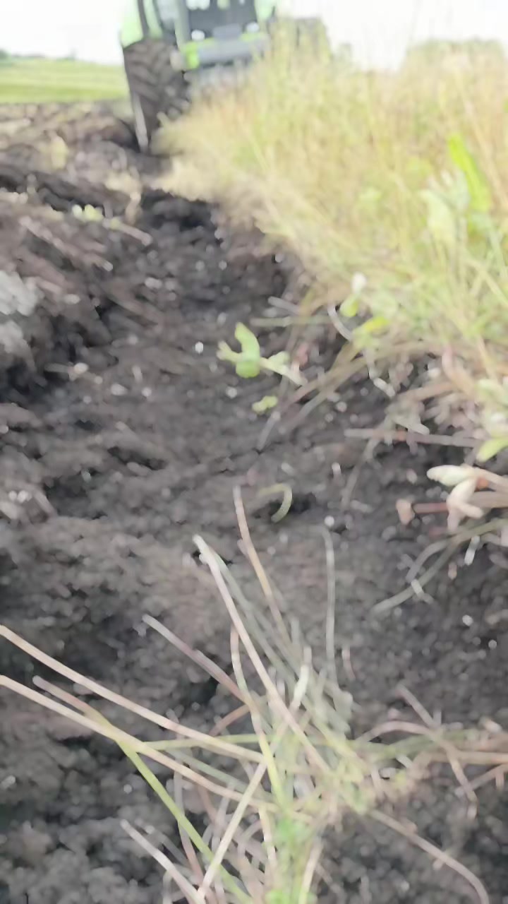 @Андрей Дивенко