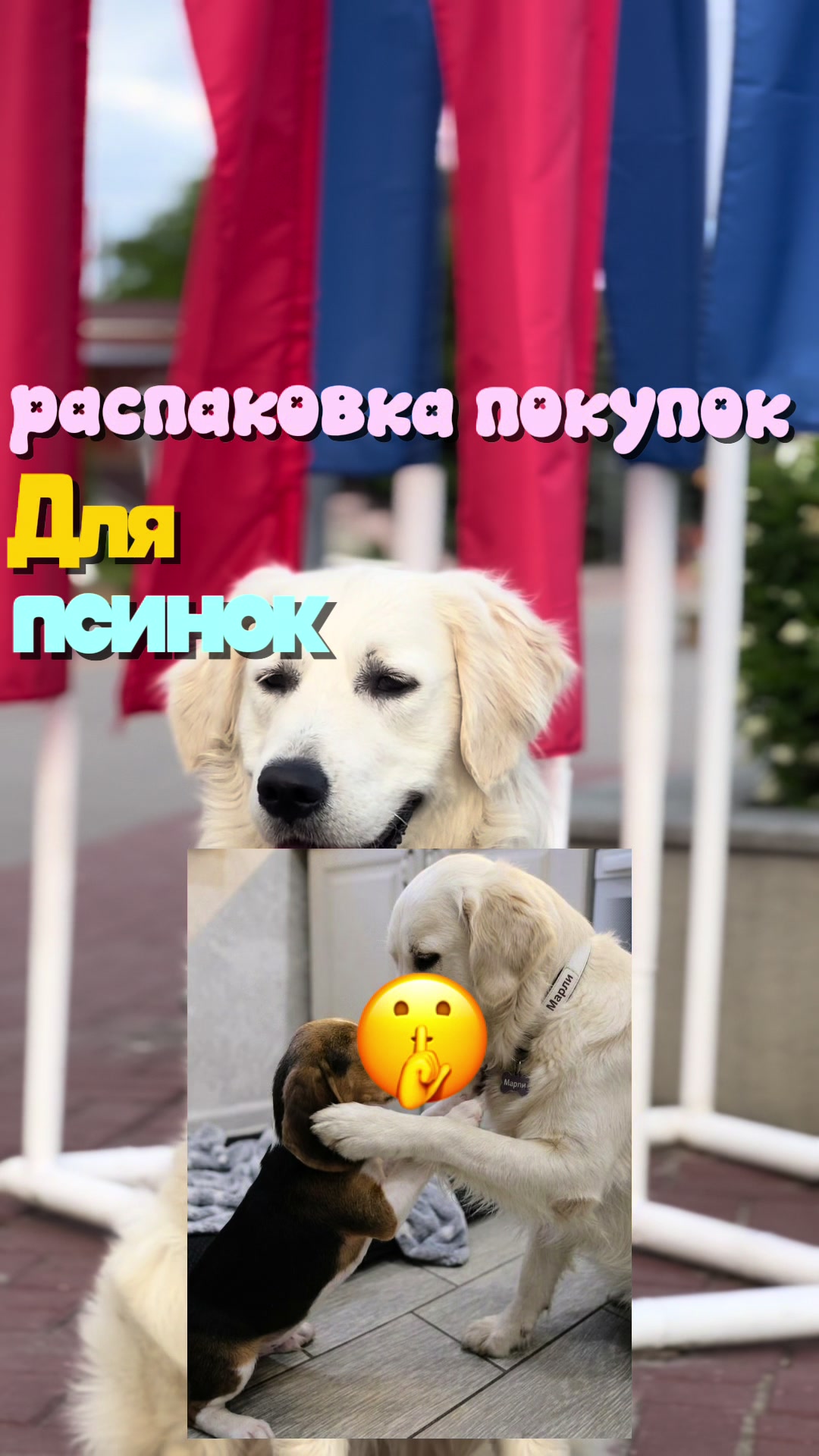 @𐔤ɯᥲᥴⲧыύ ⲙᥲρ᥈υ🥏