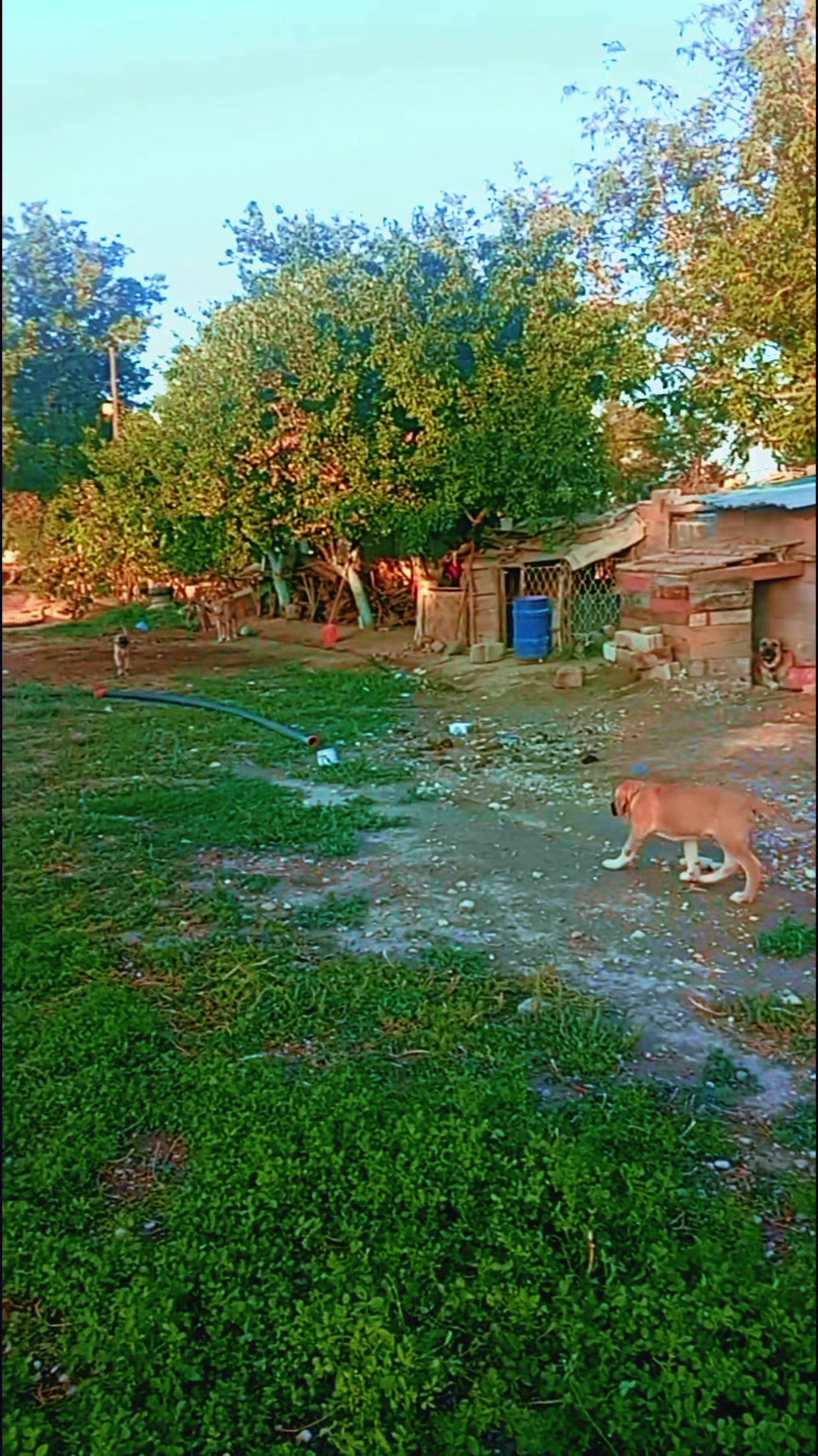 @𝙉𝘼𝙎𝙐𝙃 𝘕𝘙𝘚