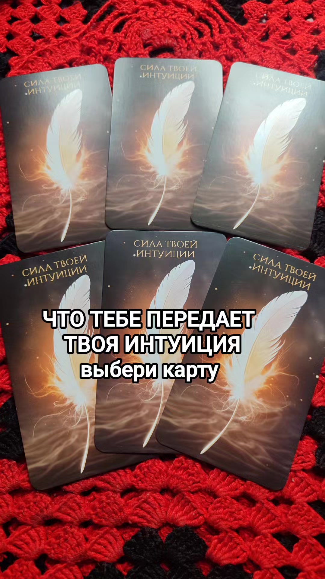 @user9894065413937