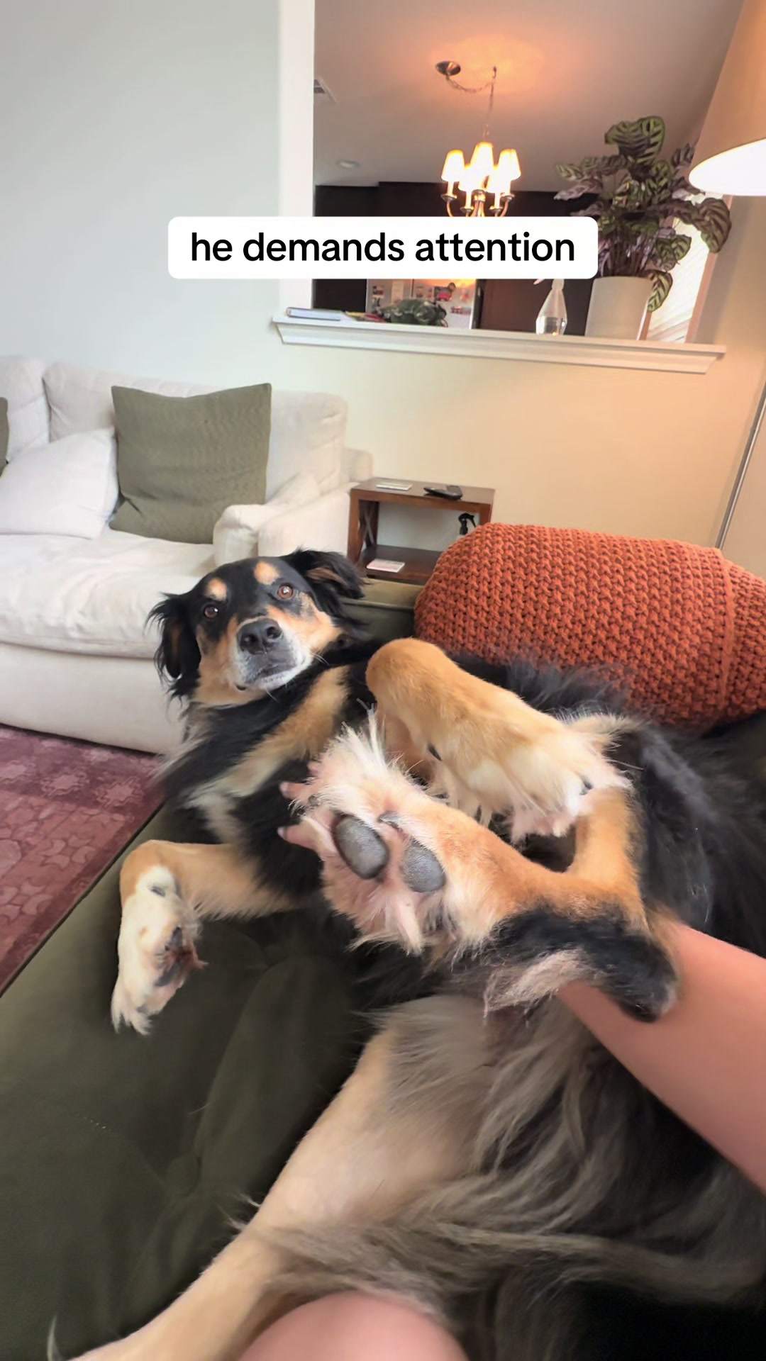 @BoopleTheSnoot