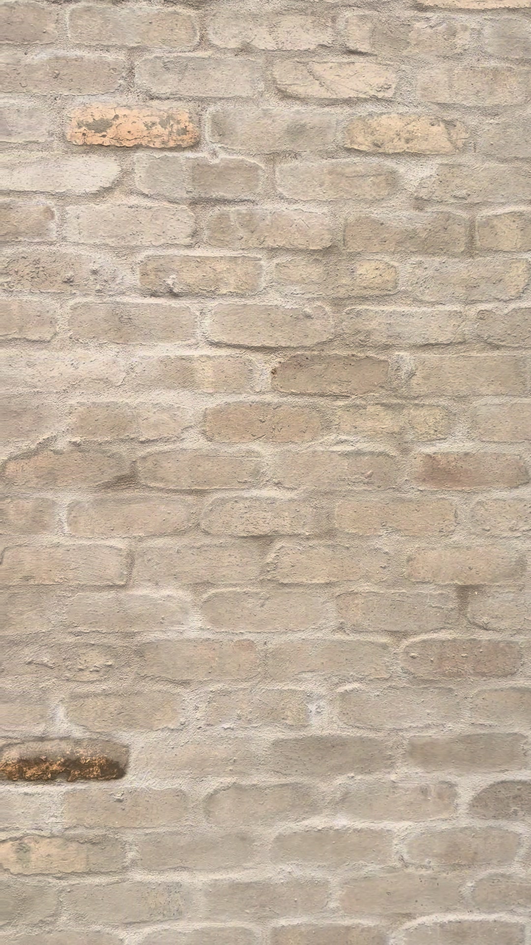 @Vandersolidplastering