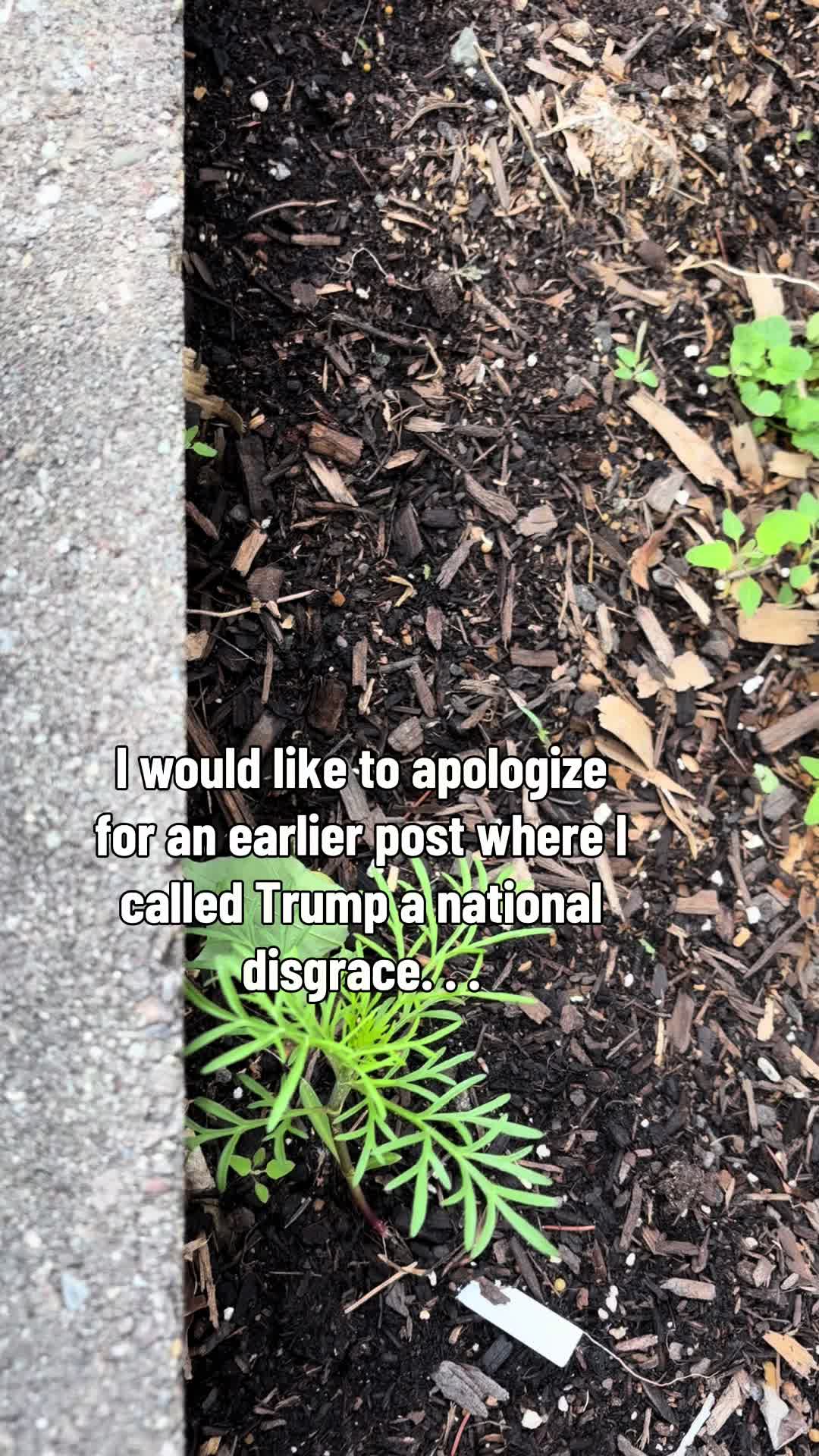 @Resistance Homesteaders
