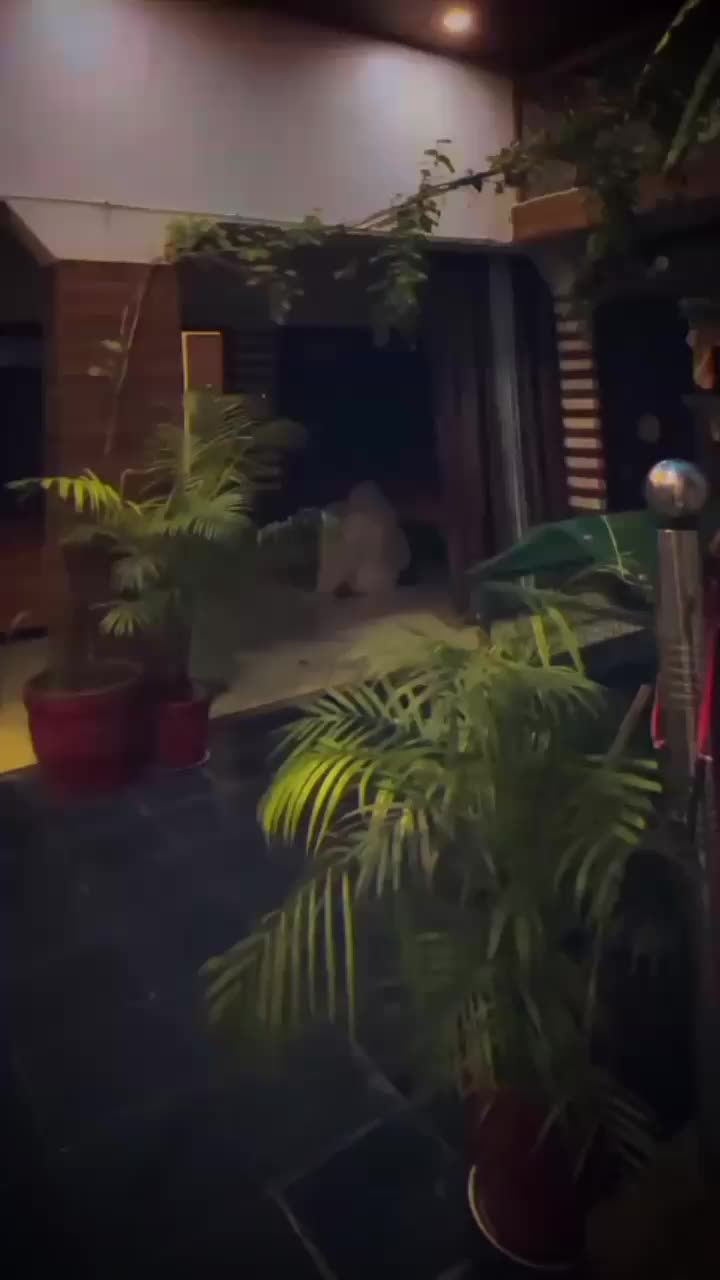 @𝗠𝗔𝗔