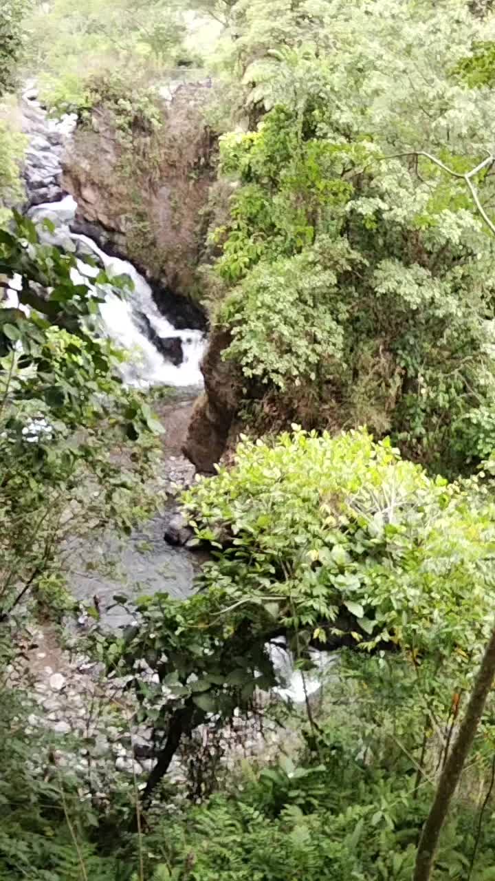 @Jima Dalion