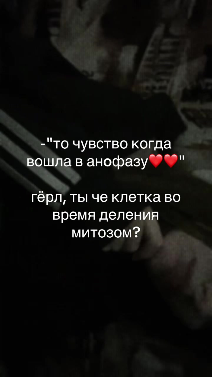 @соня икспа