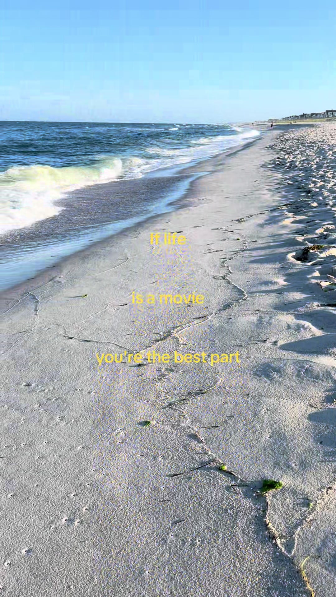 @🕊️