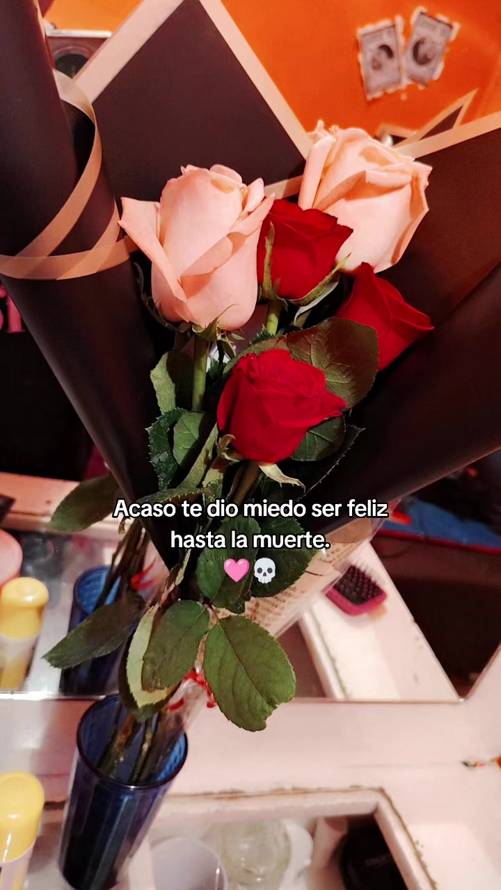 @perla morales