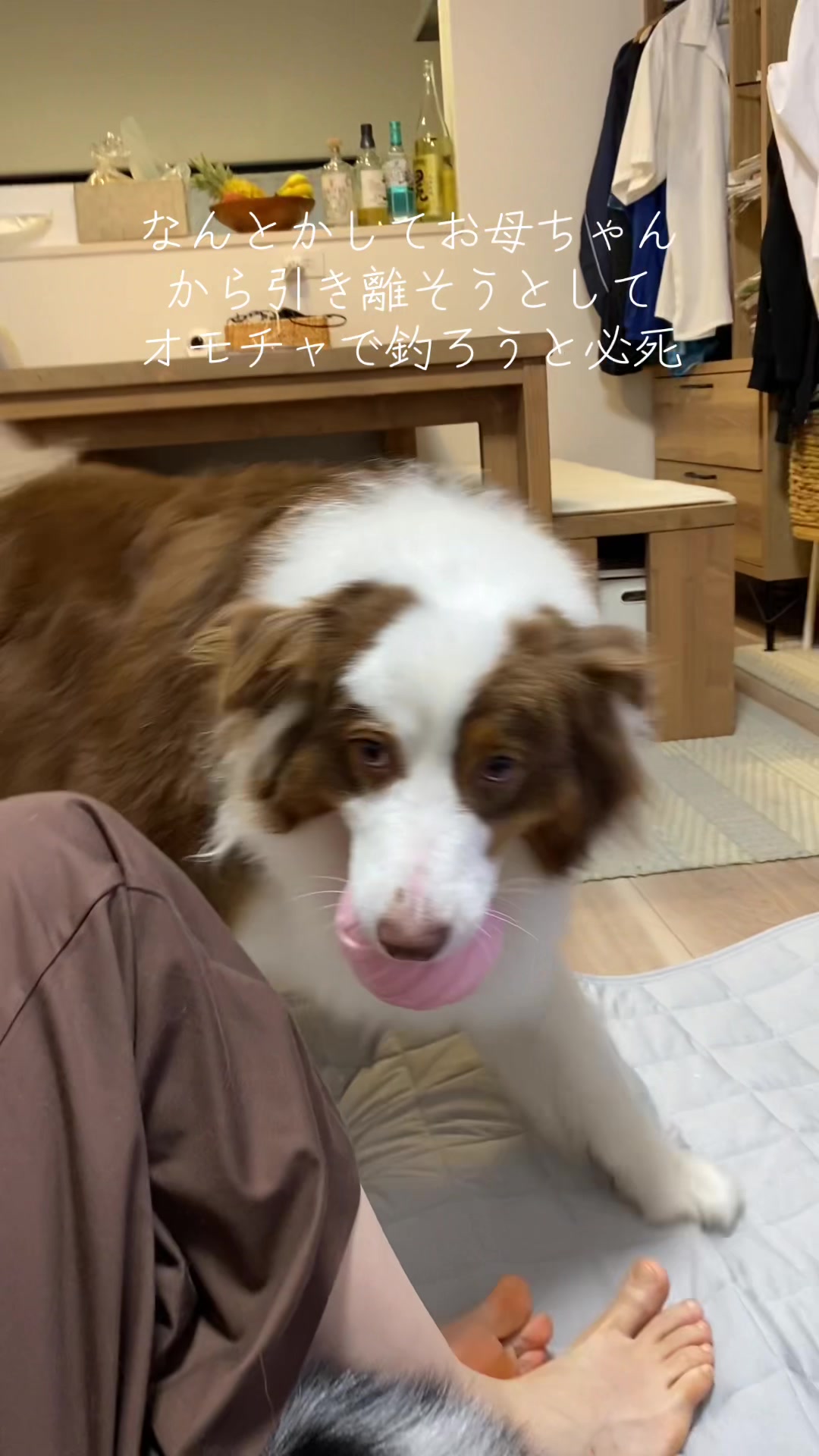 @サン&タマ
