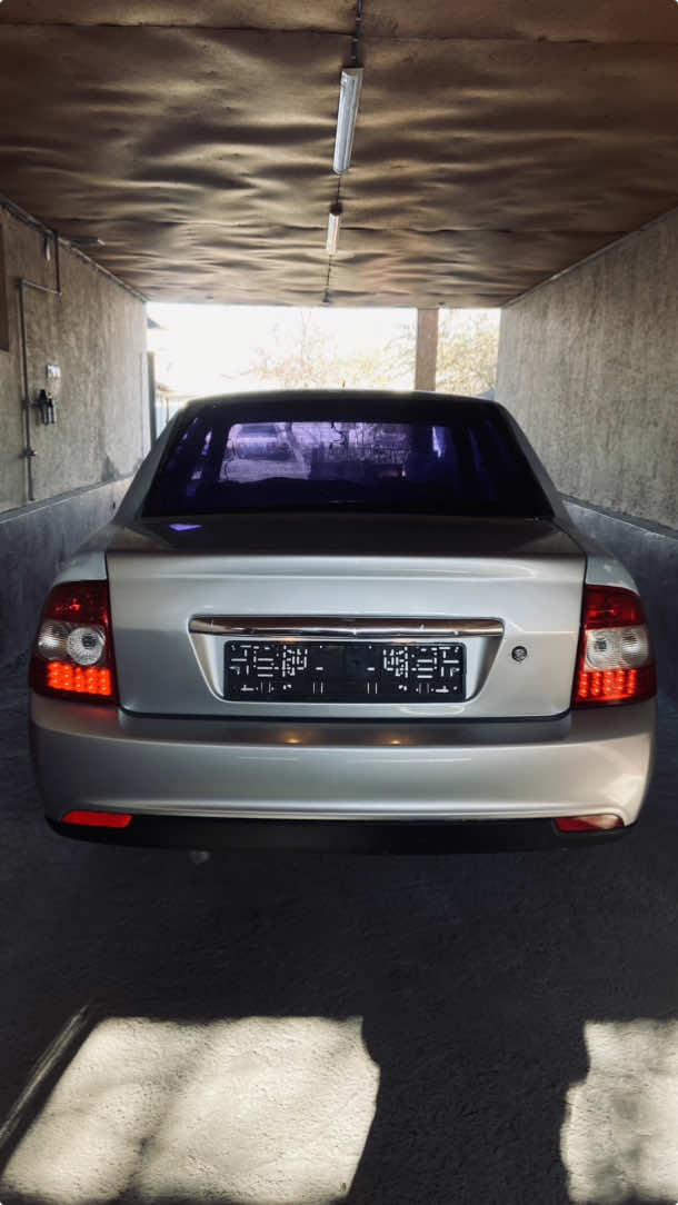 @meirbek_434_