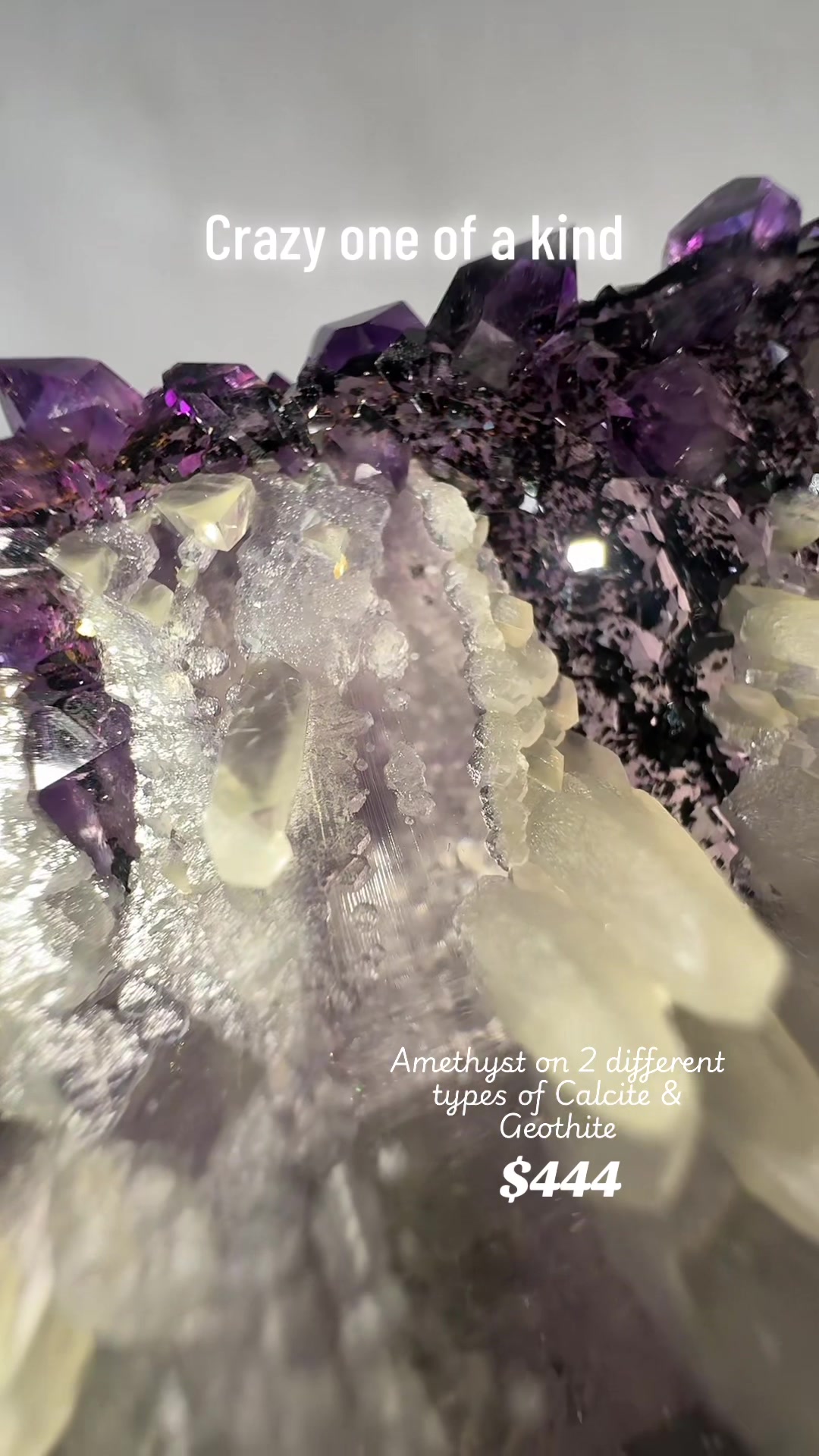 @Bella’s Crystal collection