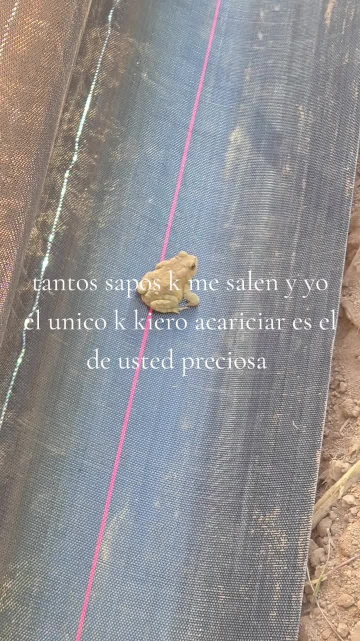 @Alexander menjivar