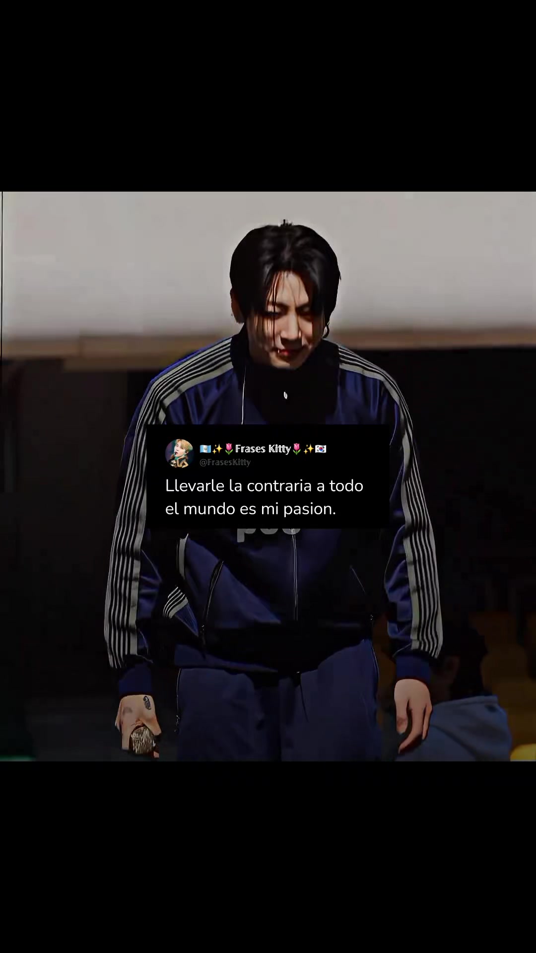 @✨️🌷𝔽𝕣𝕒𝕤𝕖𝕤𝕂𝕚𝕥𝕥𝕪🌷✨️