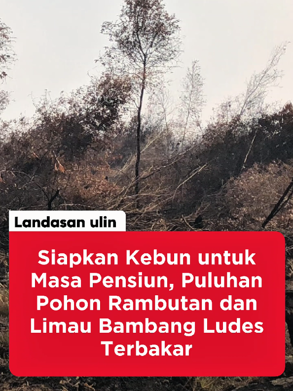 @redaksi8.com