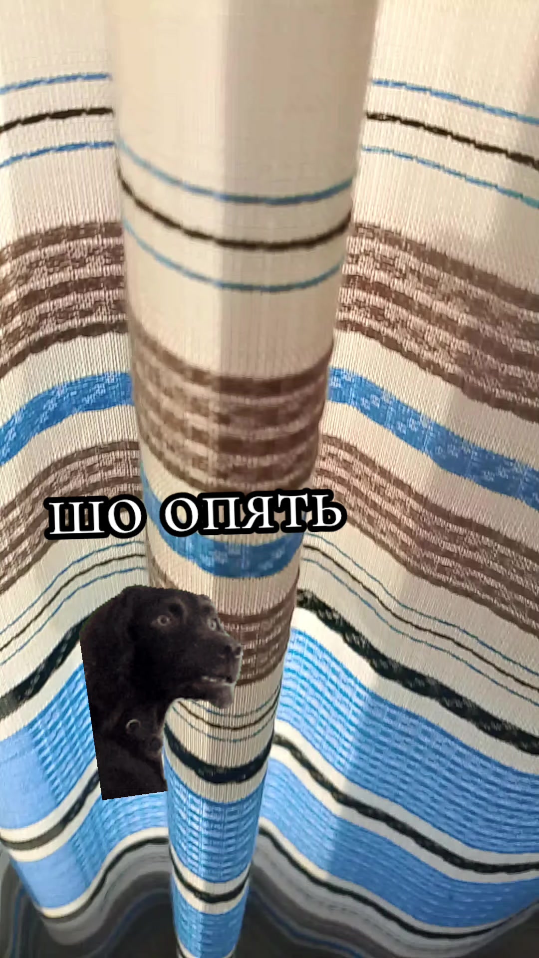 @Ksenia:💙🖤