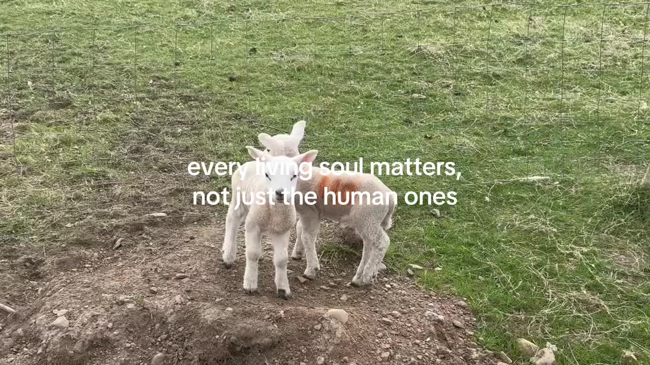 @official_ecoroots