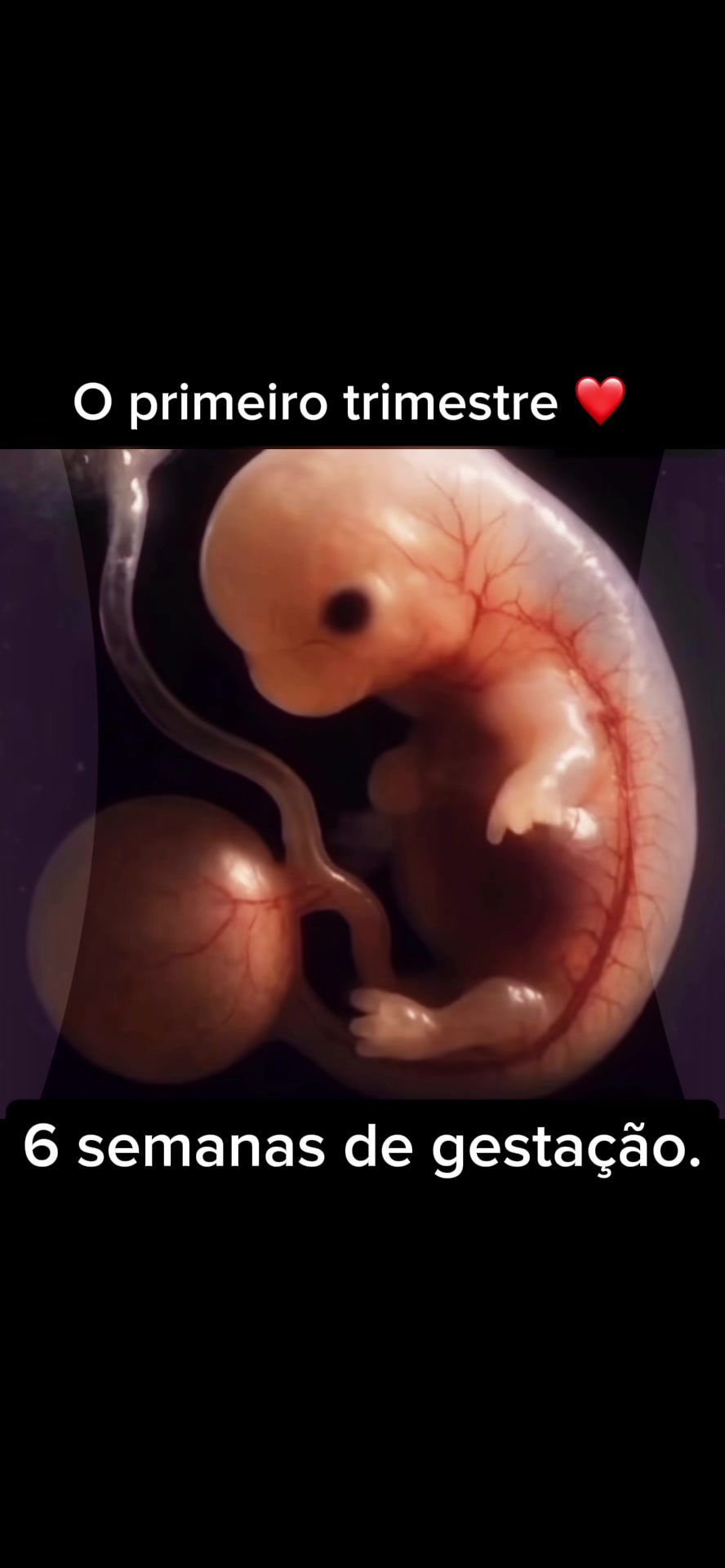 @Dicas de Maternidade🤰🏻👶🏻❤️