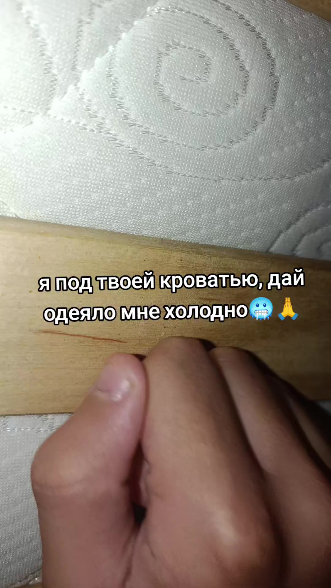 @𒈔𝐳𝐲𝐱.𝐞𝐱𝐞𒈔