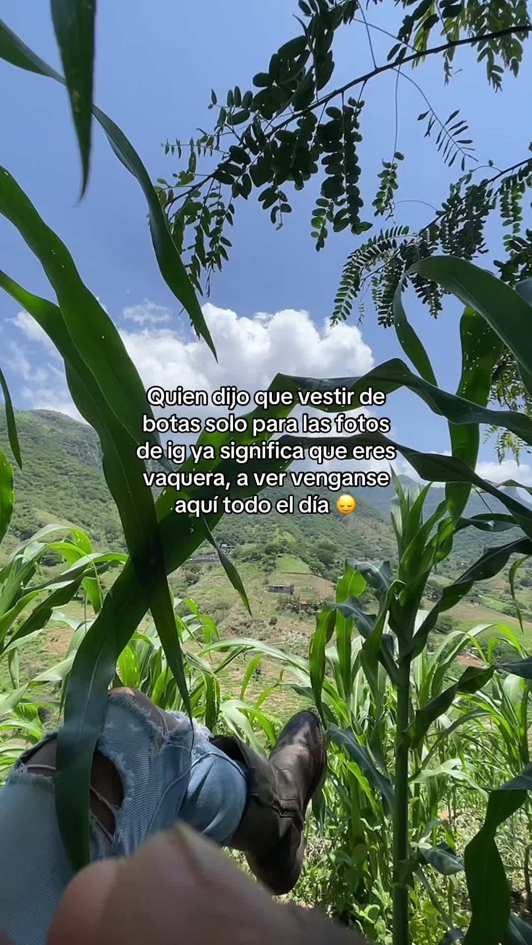 @angezootec🐷💗