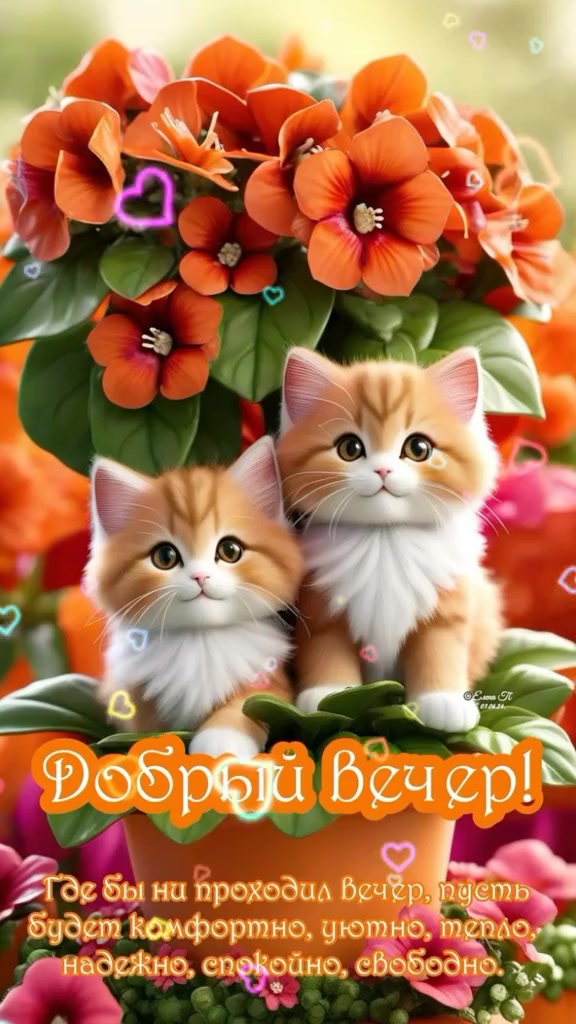 @Olya_1961