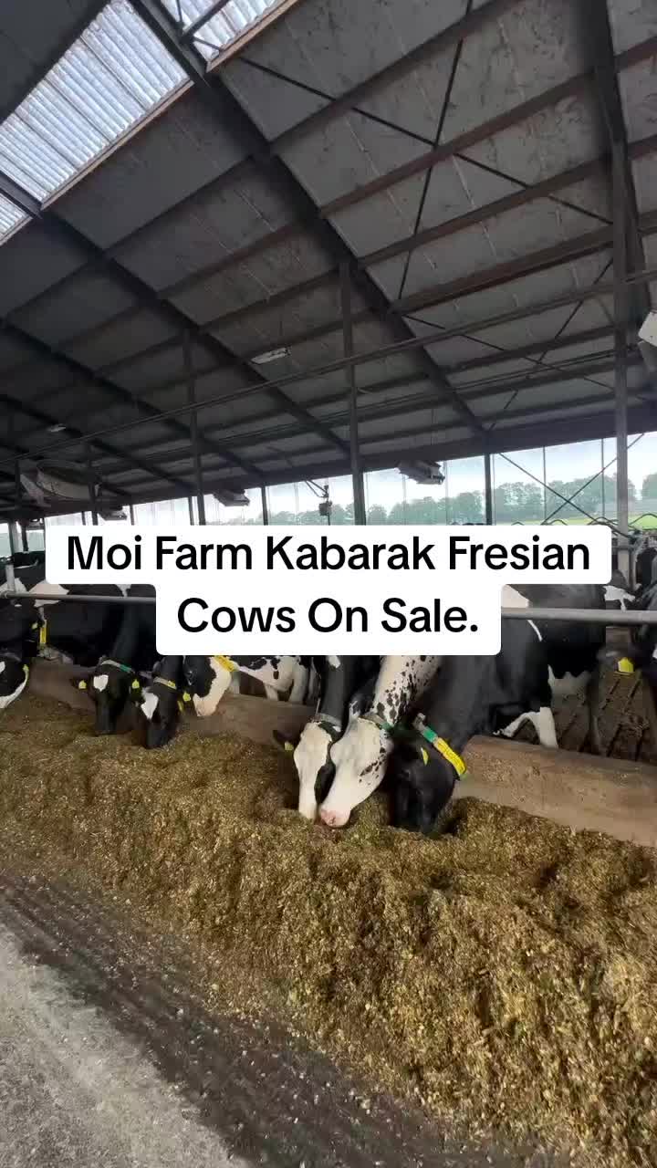 @MOI FARM KABARAK.(sponsered)
