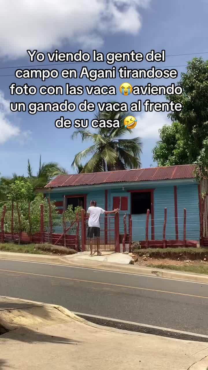 @carlitord240499