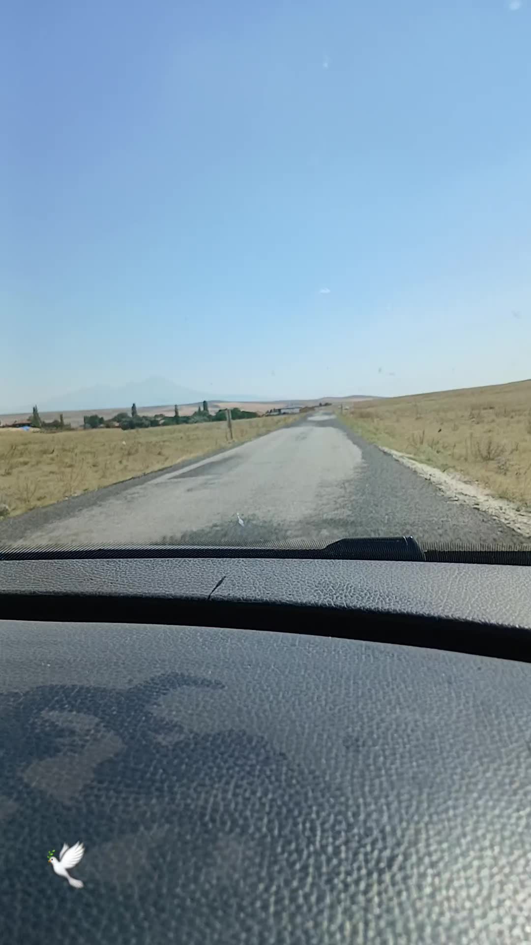@fidansamet68