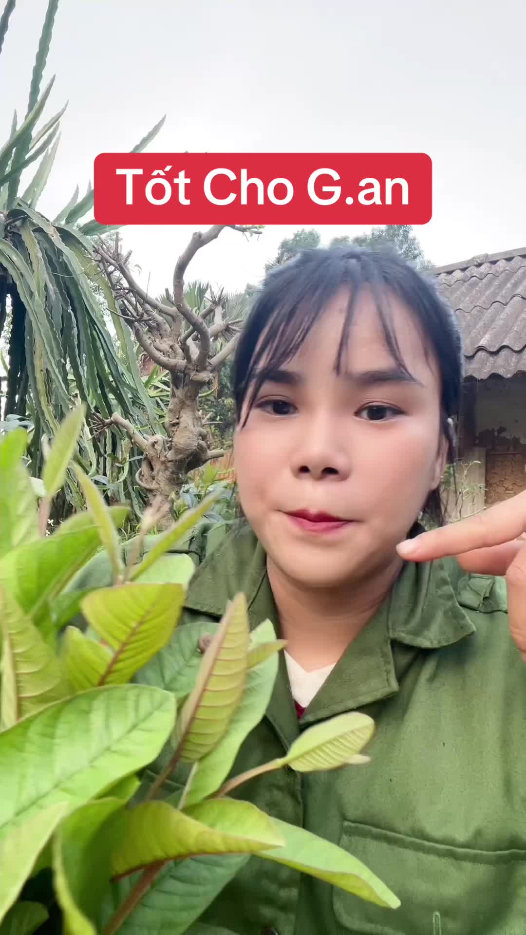 @Ngọc Chinh Miền N&uacute;i