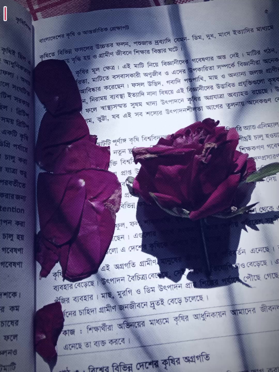 @ᥫ᭡✧⃝🌙 𝑴𝒐𝒐𝒏 🦋⃝:J