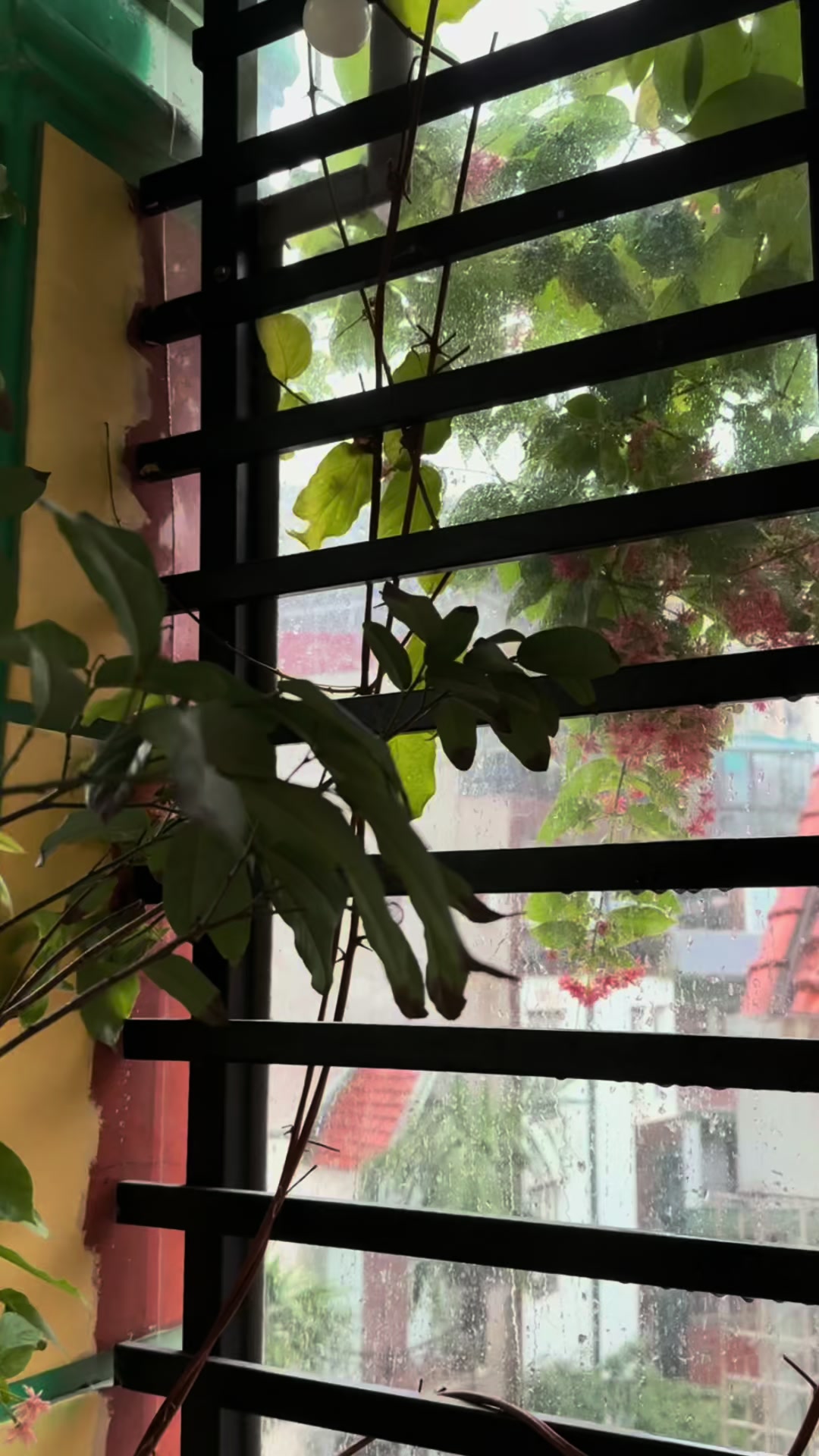 @GiaĐ&igrave;nhMẹ7Con❤️