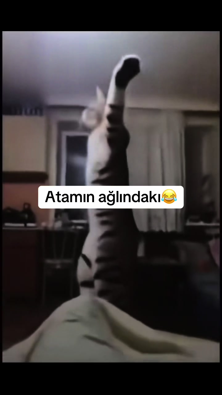 @Qalib999