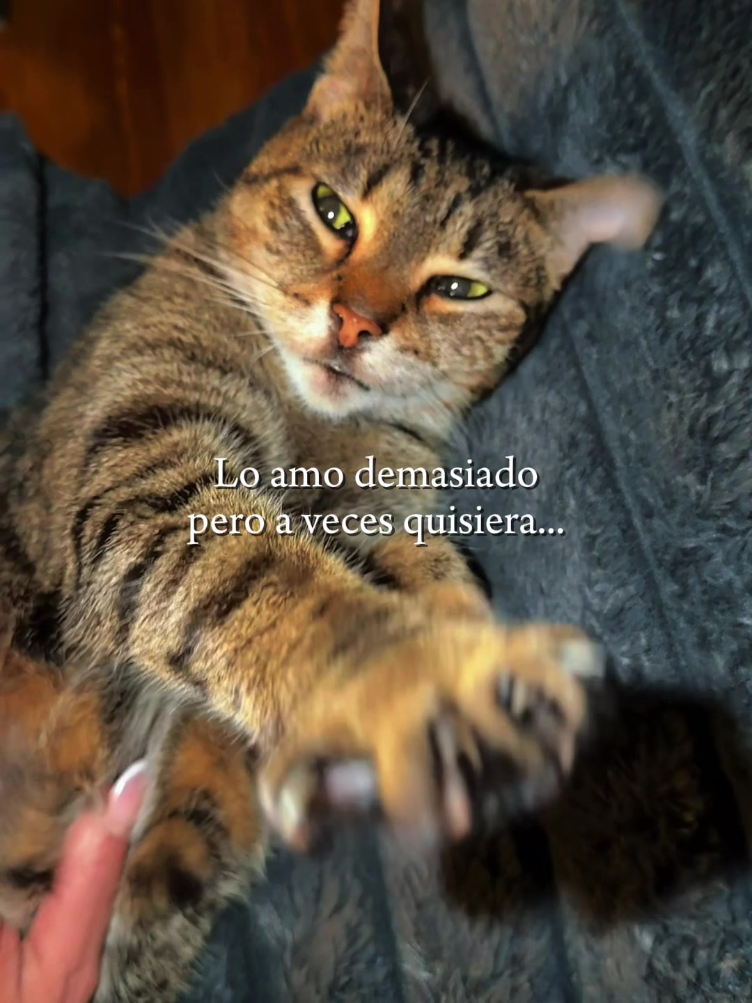 @𝓐𝓵𝓫𝓪𝓷𝓲𝓪 😺