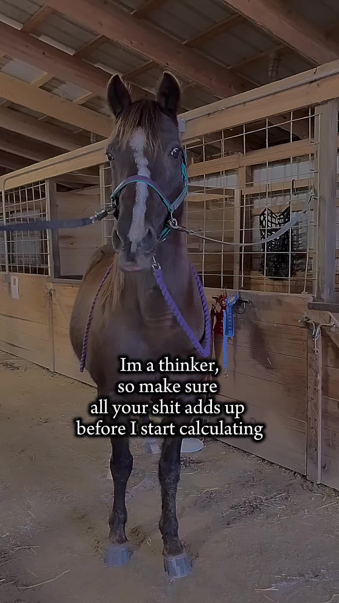 @tiredponygirl