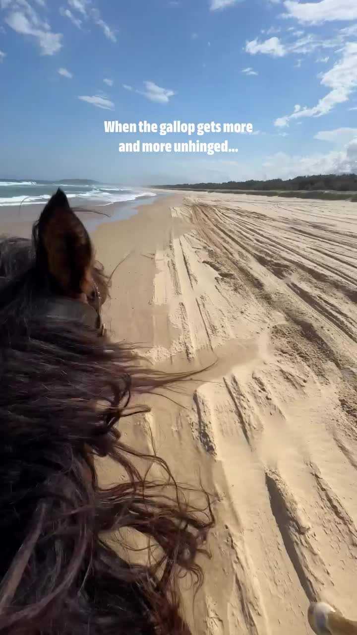 @ThunderGallops