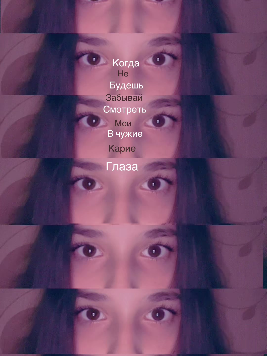 @dasv1sk