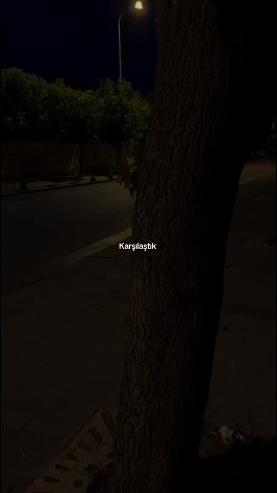 @𝓢