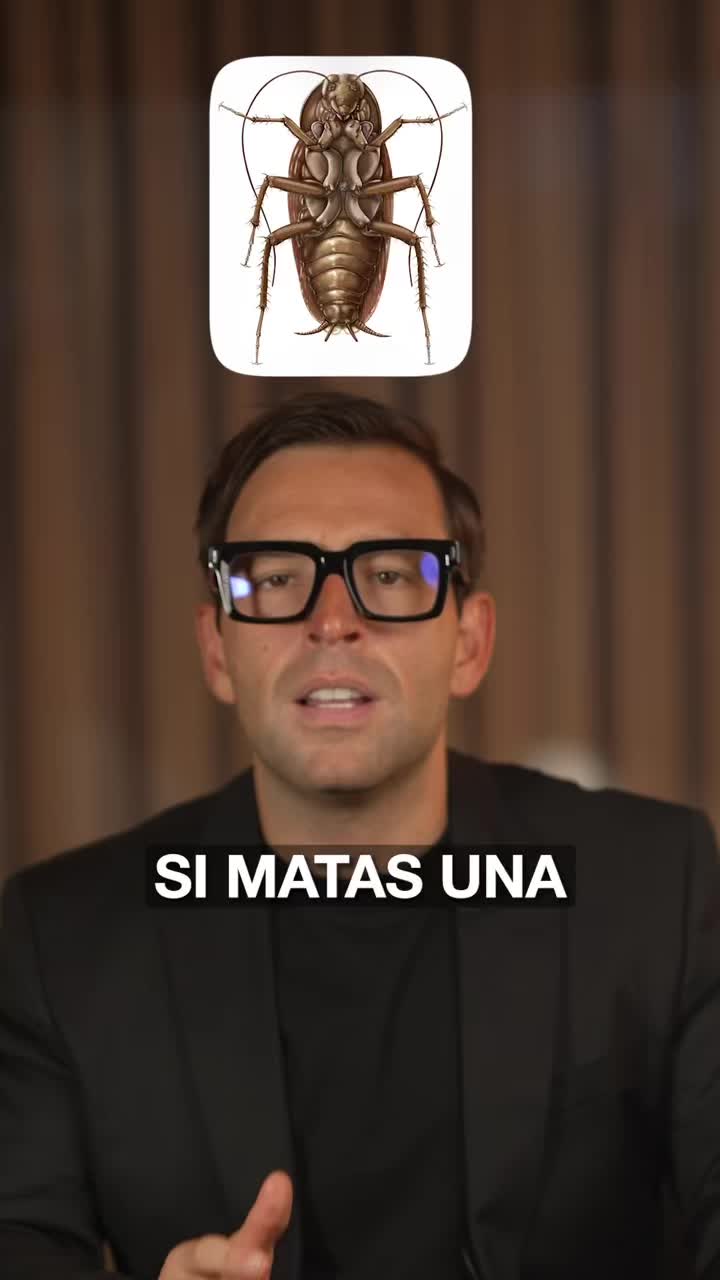 @Adrián Guerra