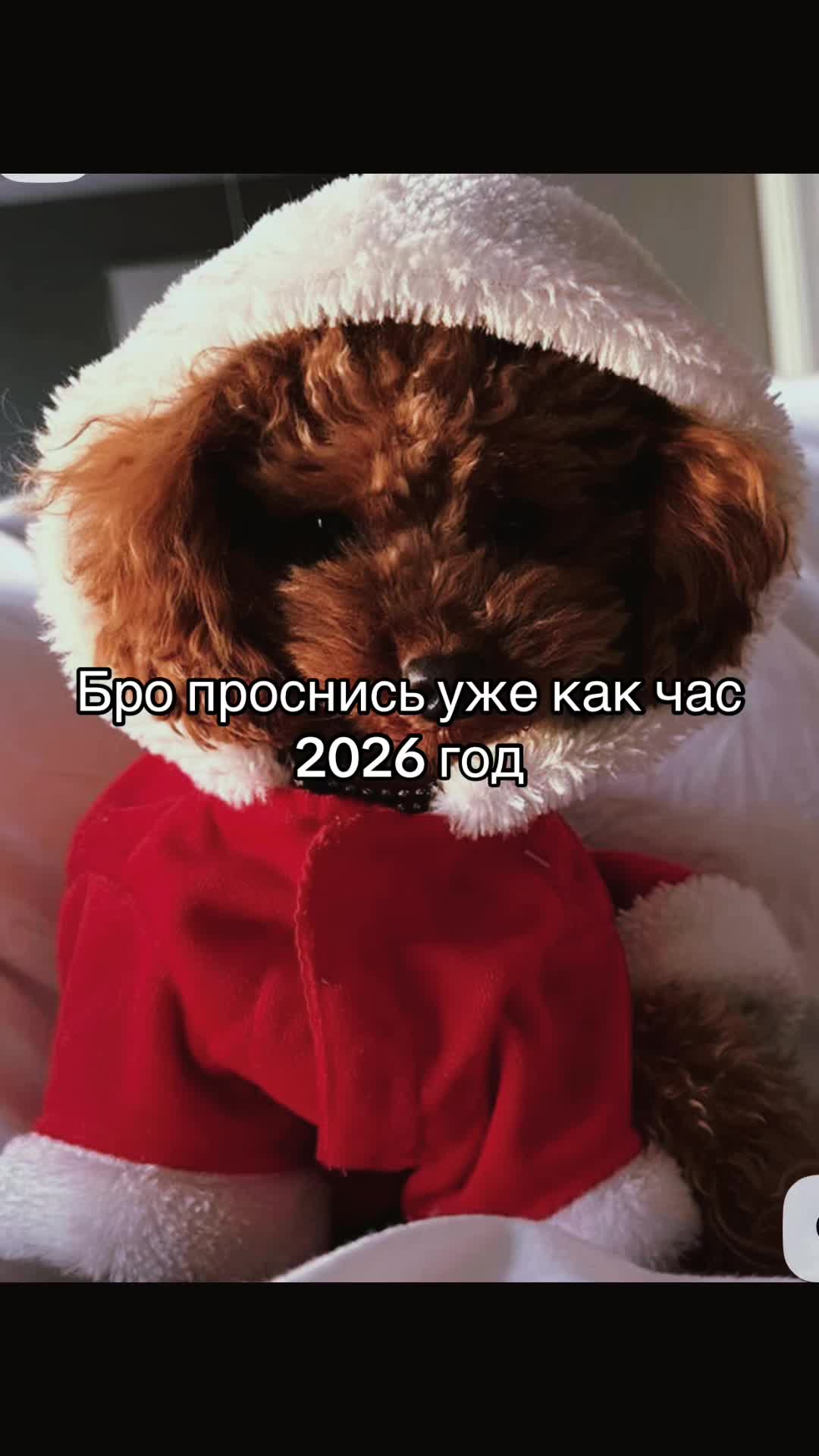 @Shanelka