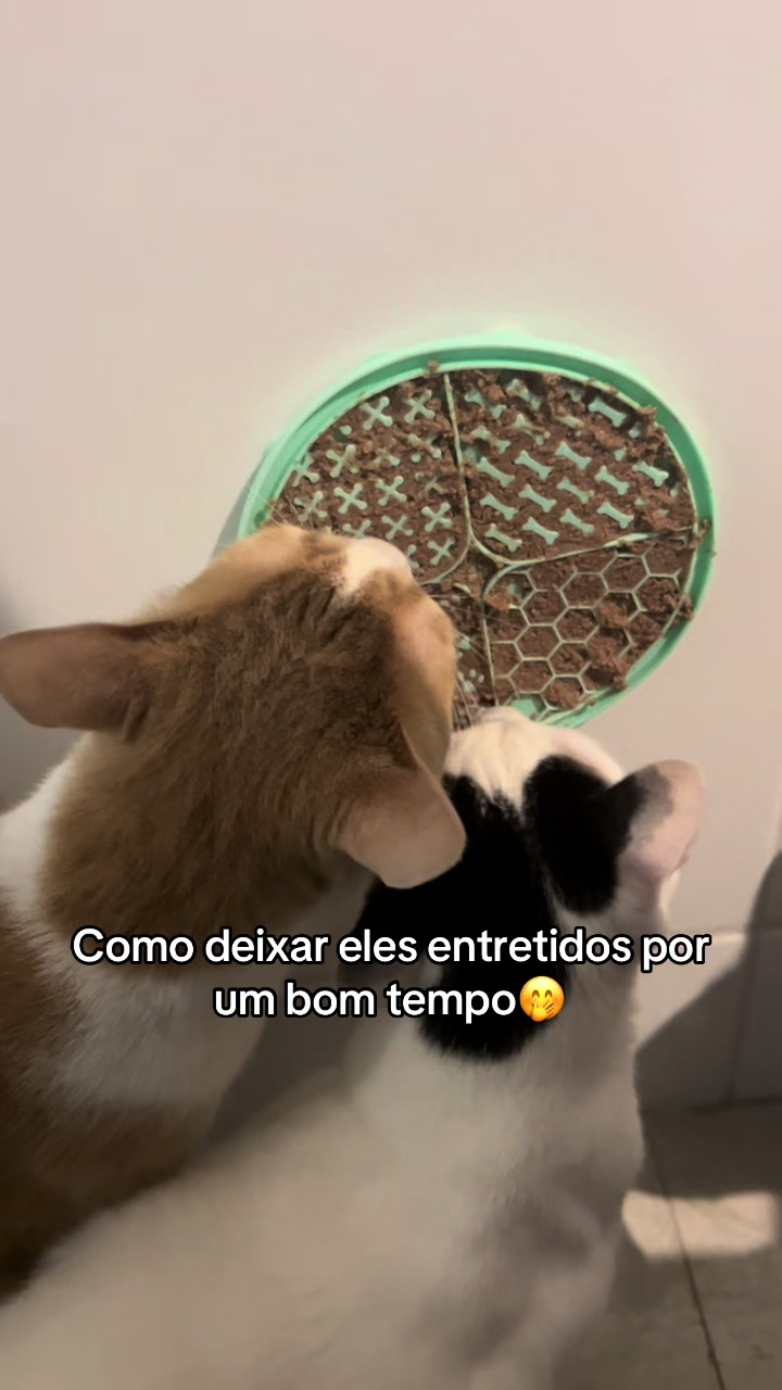 @cantinho pet