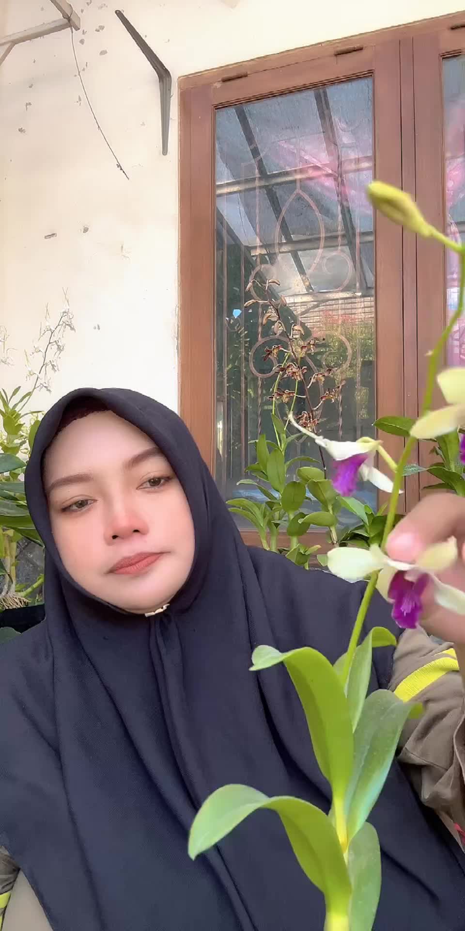@Anggina Orchid