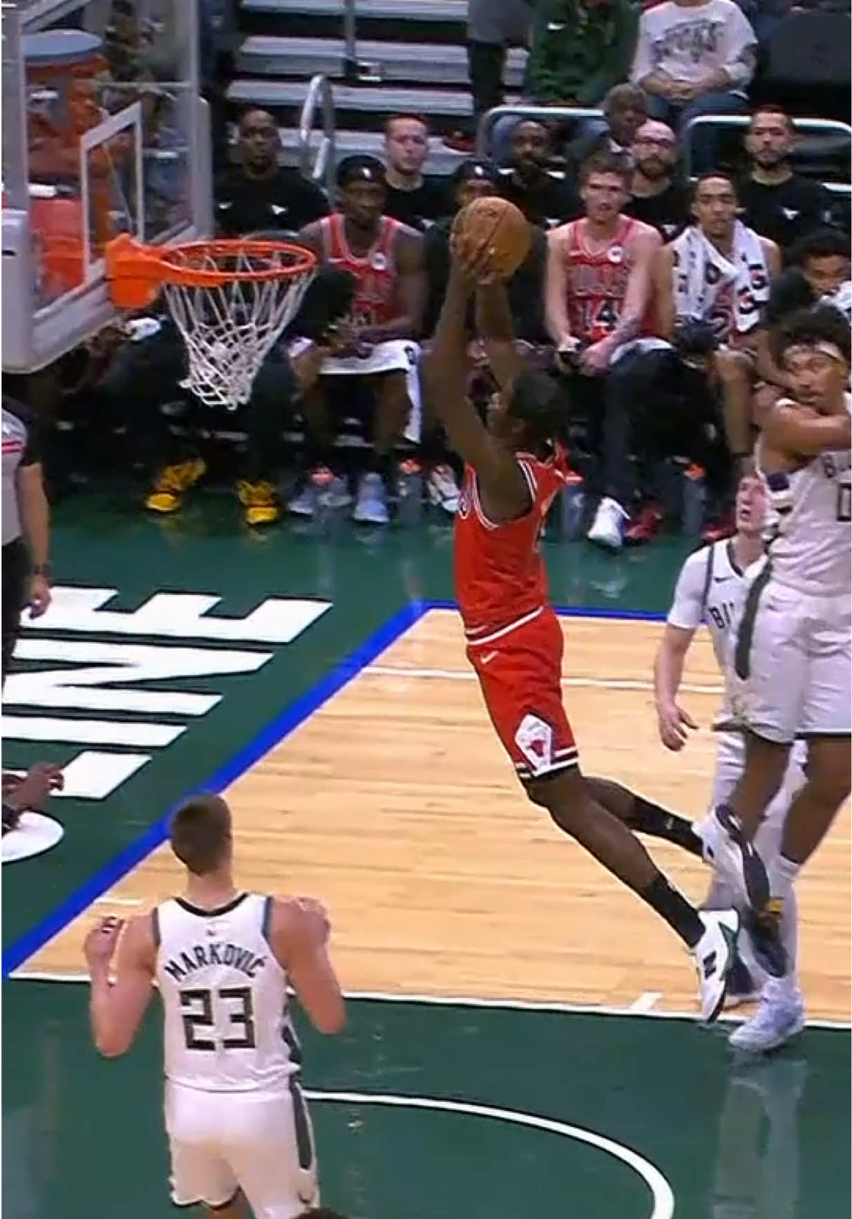 @Chicago Bulls