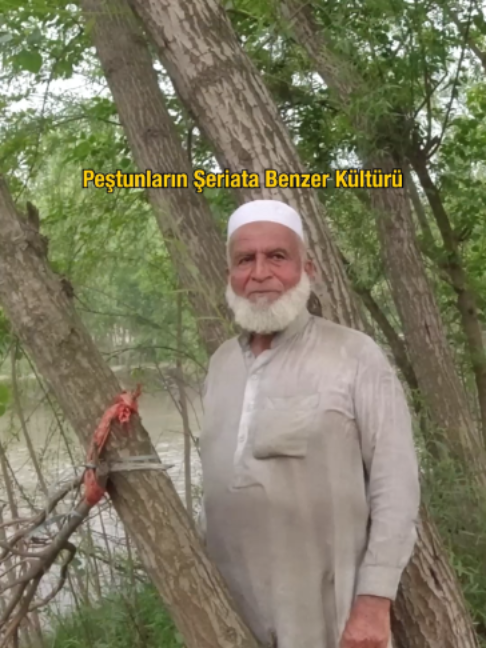 @Stajyer Seyyah