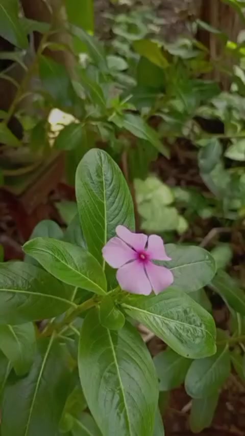 @Ichsan Solihudin
