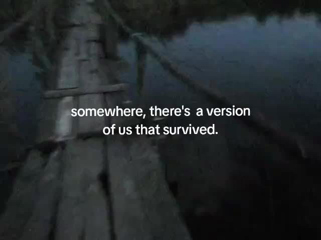 @user24985794118