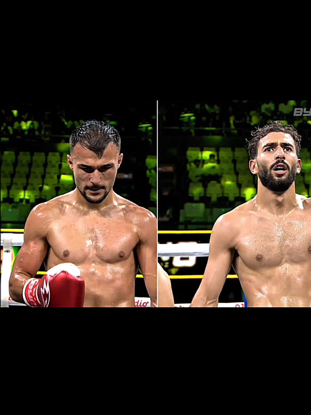 @FANS BOXING