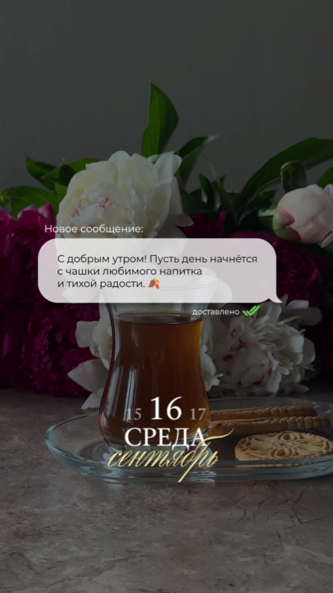 @Vera
