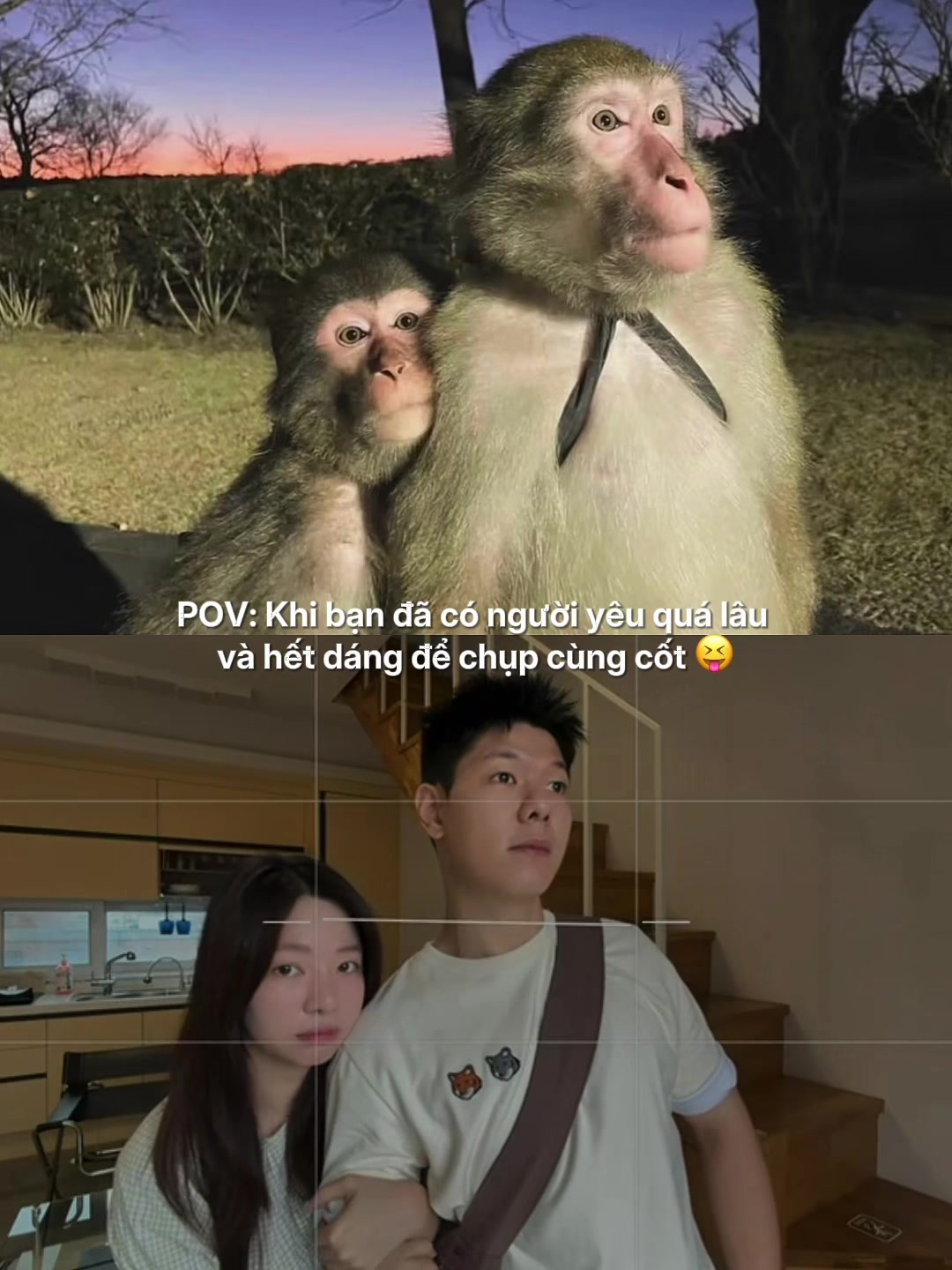 @Gia đình Truyền Hình