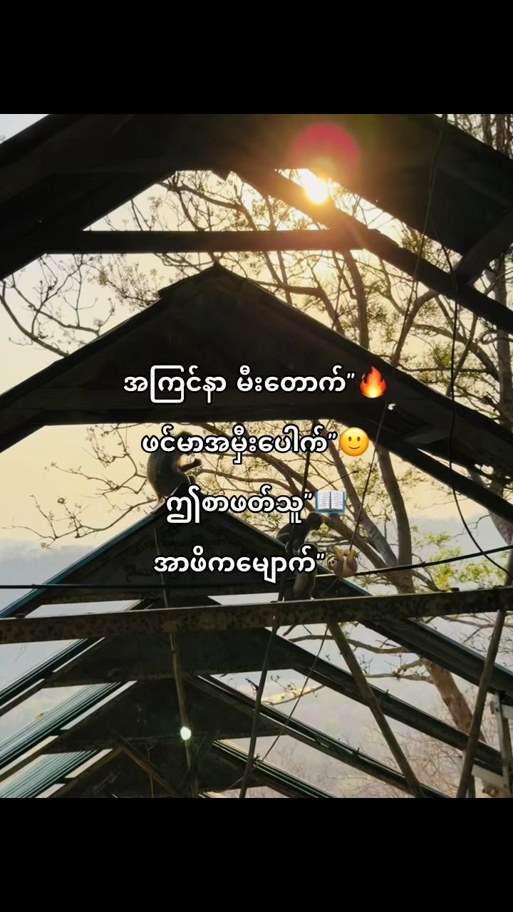 @๐๐จ๐ช๐๐ก๐ข๐ง๐(Official2.8M)